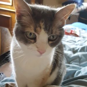 Meet your Posher, Rhonda